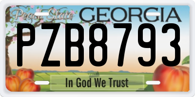 GA license plate PZB8793