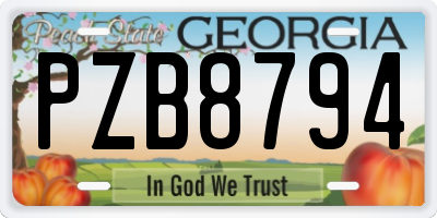 GA license plate PZB8794