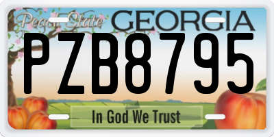 GA license plate PZB8795
