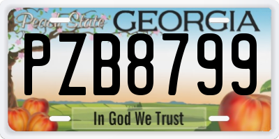 GA license plate PZB8799
