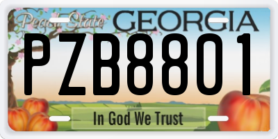 GA license plate PZB8801