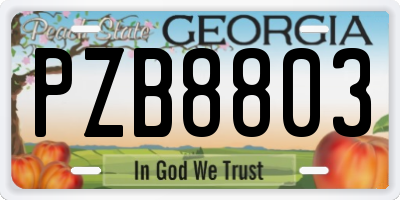 GA license plate PZB8803