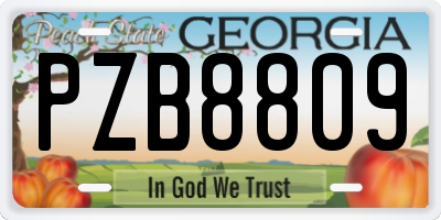 GA license plate PZB8809