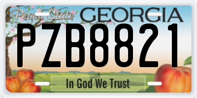 GA license plate PZB8821