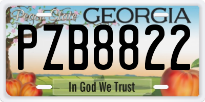 GA license plate PZB8822