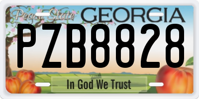 GA license plate PZB8828