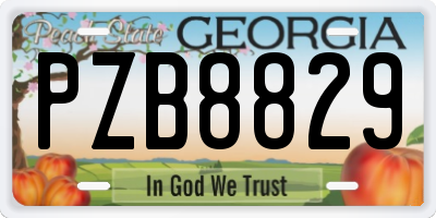 GA license plate PZB8829
