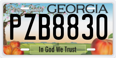 GA license plate PZB8830
