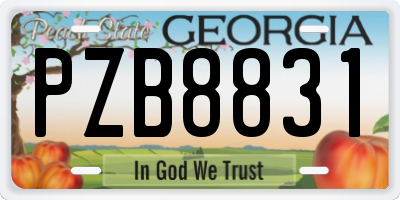 GA license plate PZB8831