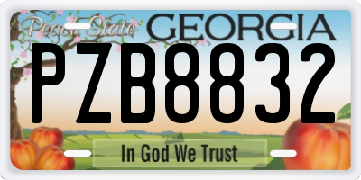 GA license plate PZB8832