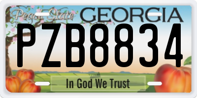 GA license plate PZB8834