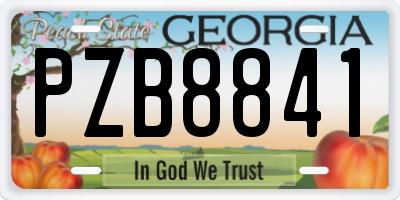 GA license plate PZB8841