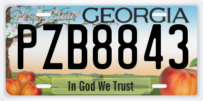 GA license plate PZB8843