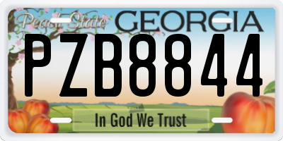 GA license plate PZB8844