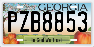 GA license plate PZB8853