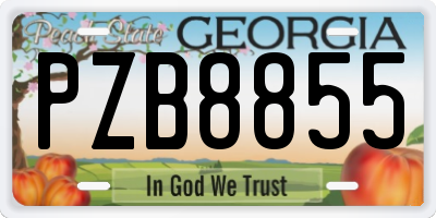 GA license plate PZB8855