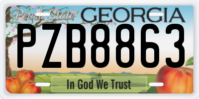 GA license plate PZB8863