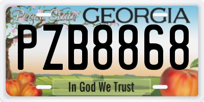 GA license plate PZB8868