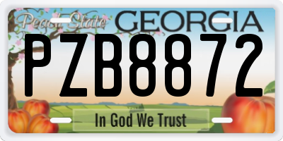 GA license plate PZB8872
