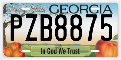 GA license plate PZB8875