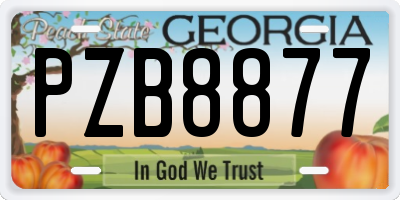 GA license plate PZB8877