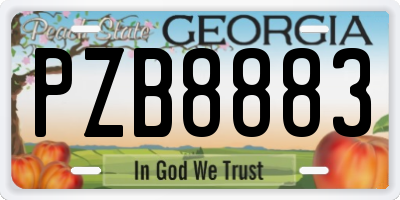 GA license plate PZB8883
