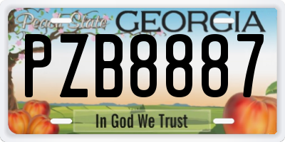 GA license plate PZB8887