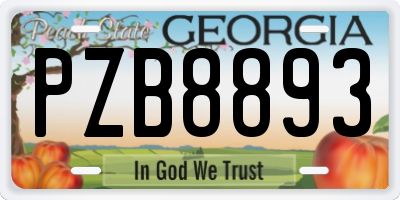 GA license plate PZB8893