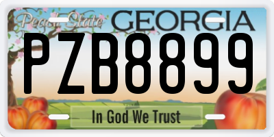 GA license plate PZB8899