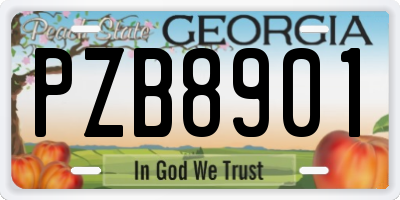 GA license plate PZB8901