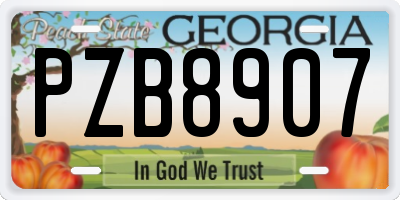 GA license plate PZB8907