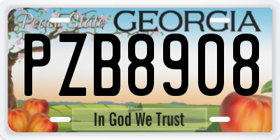 GA license plate PZB8908