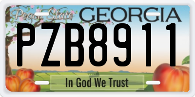 GA license plate PZB8911