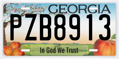 GA license plate PZB8913
