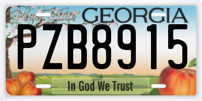 GA license plate PZB8915