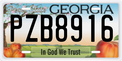 GA license plate PZB8916