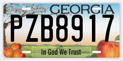 GA license plate PZB8917