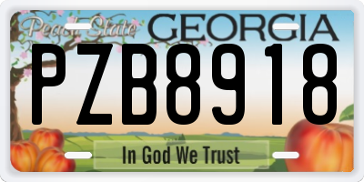 GA license plate PZB8918