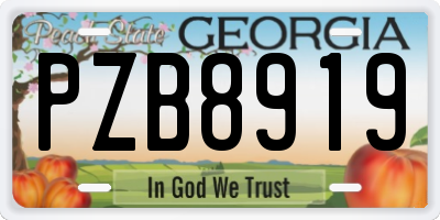 GA license plate PZB8919