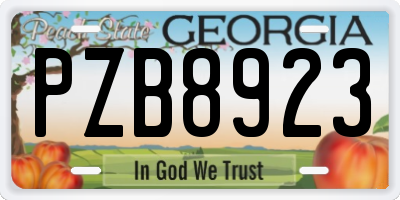 GA license plate PZB8923