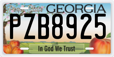 GA license plate PZB8925