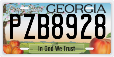 GA license plate PZB8928