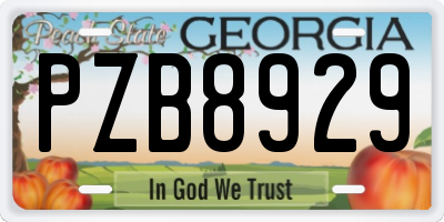 GA license plate PZB8929