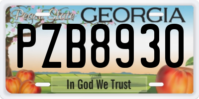 GA license plate PZB8930