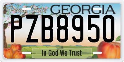 GA license plate PZB8950