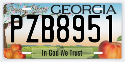GA license plate PZB8951