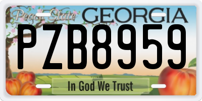 GA license plate PZB8959