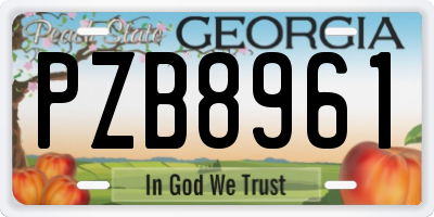 GA license plate PZB8961