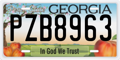GA license plate PZB8963
