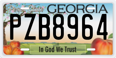 GA license plate PZB8964